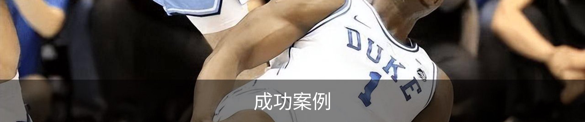 成功案例
